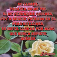 /album/fotogaleria/no-llores1-jpg/